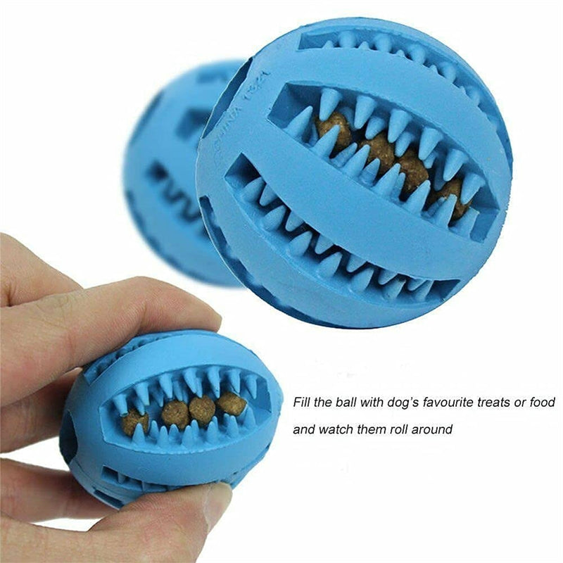 Dog Ball Toys for Pet