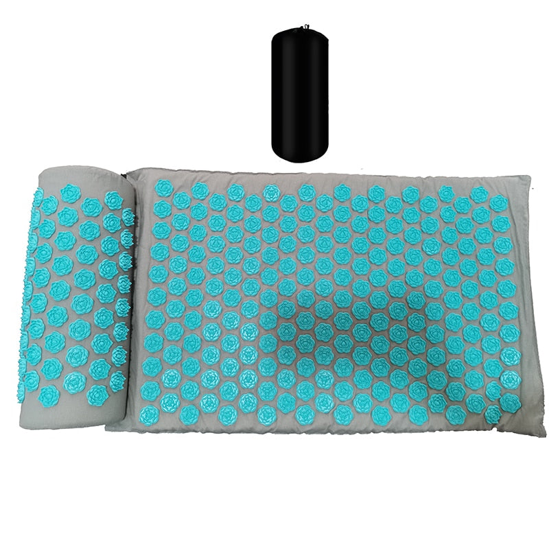 Massager Cushion