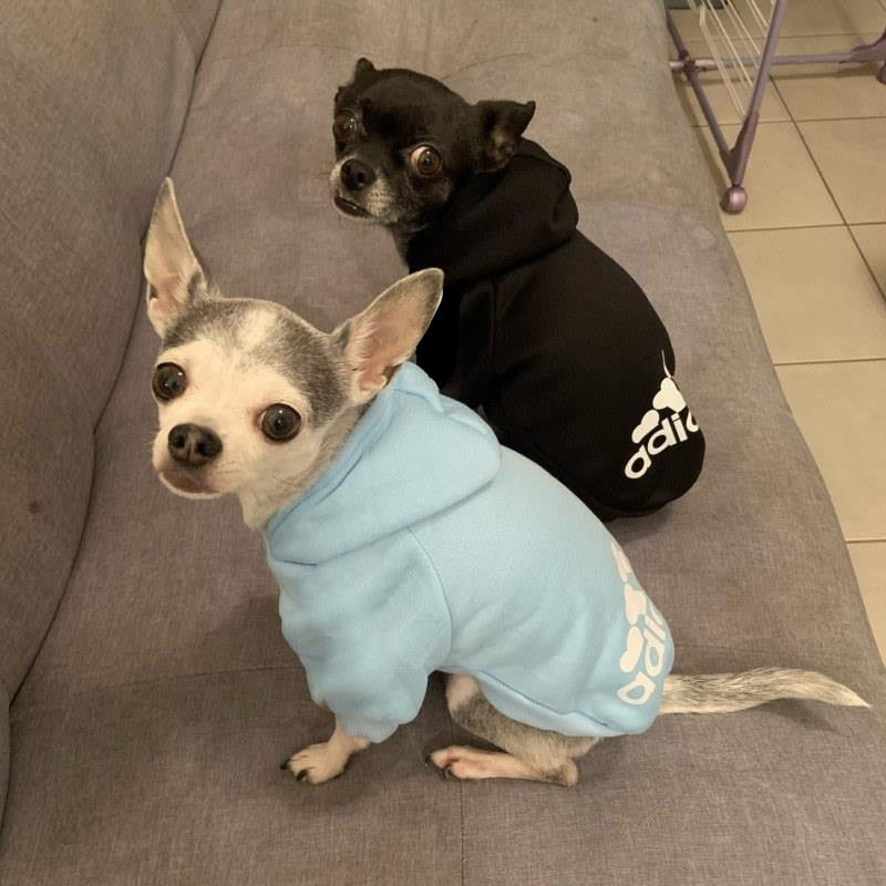 Winter Pet Dog Clothes Hoodies